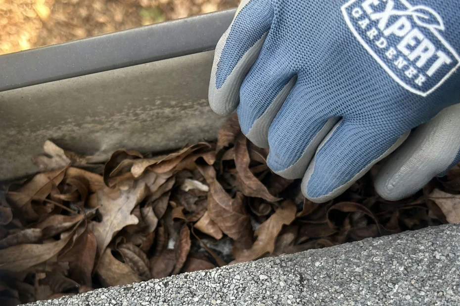 Maulmelle Gutter Cleaning