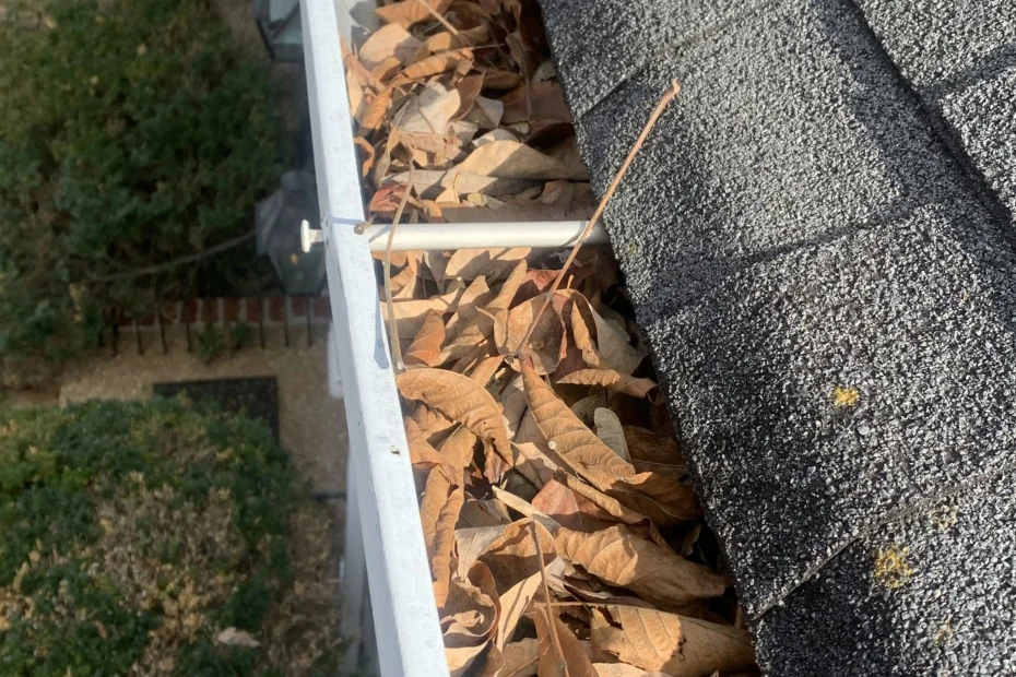 Maulmelle Gutter Cleaning