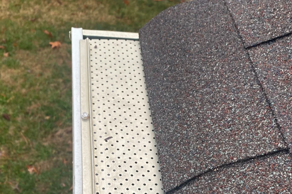 Maulmelle Gutter Cleaning