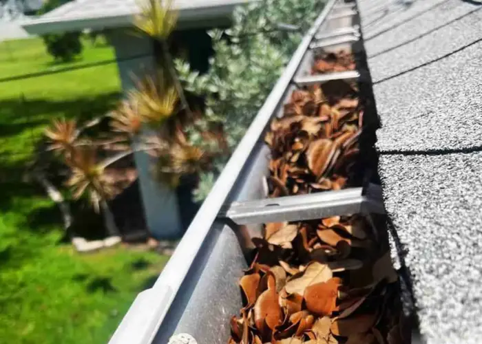 Gutter Cleaning Maulmelle AR home page